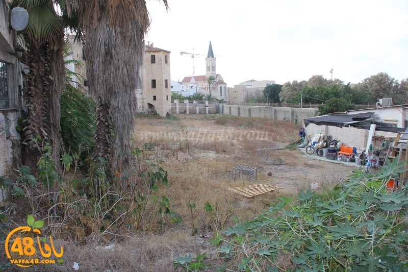 Mohamed baraka 3erqtngy (8).JPG